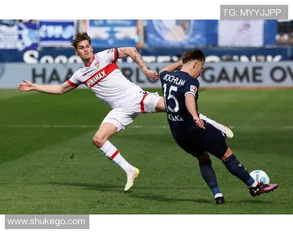 斯图加特主场迎战波鸿期待精彩对决分析与预测